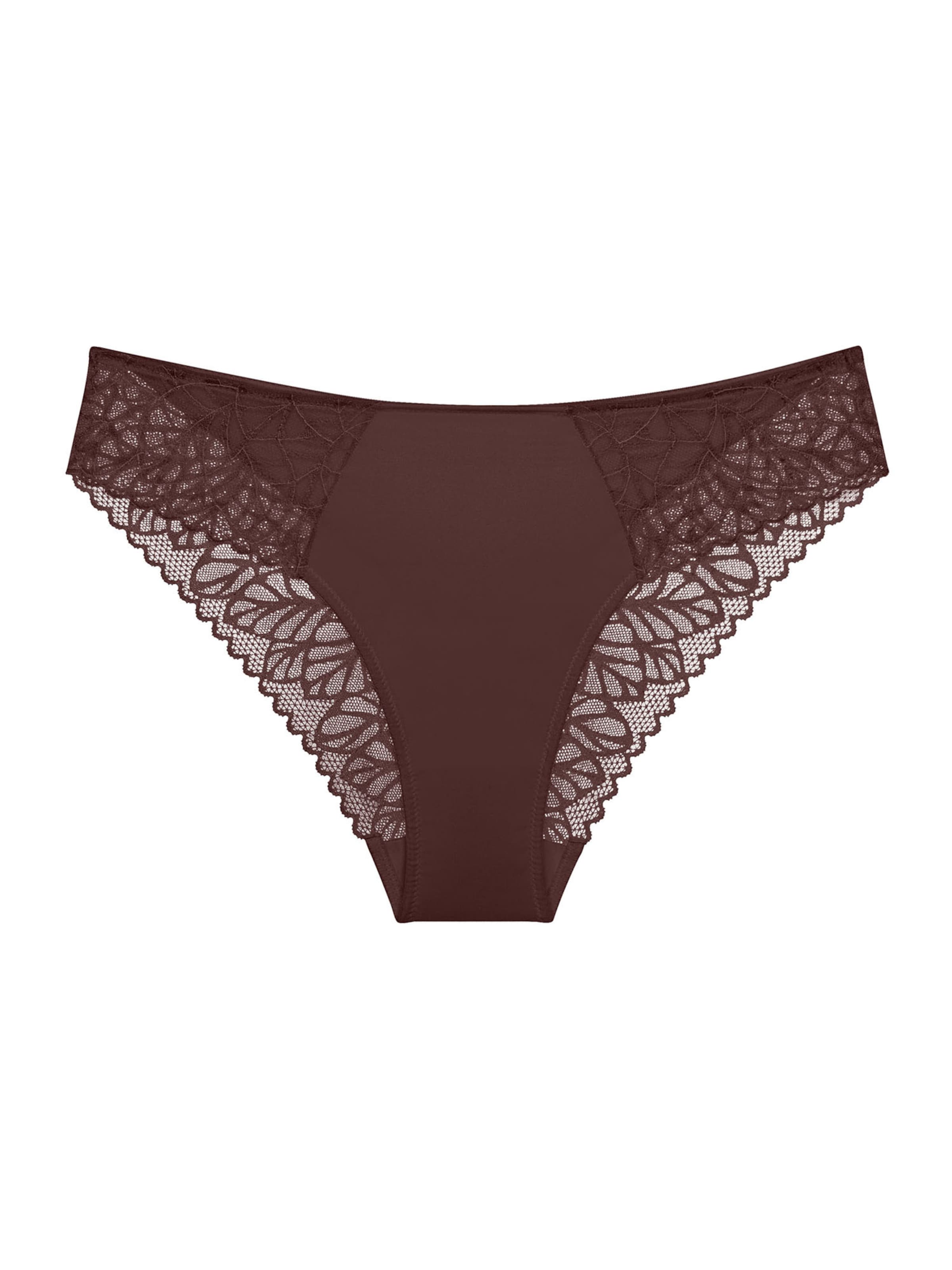 TRIUMPH Panty ' Red Label Pretty Modal ' in Brown: front