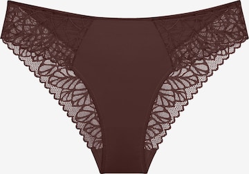 TRIUMPH Panty ' Red Label Pretty Modal ' in Brown: front
