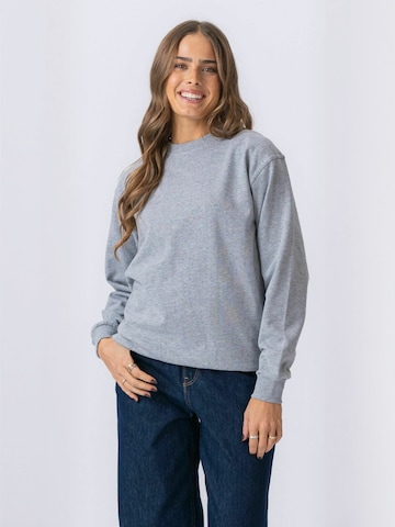 TEESHOPPEN Sweater ' Crewneck ' in Grau: Vorderseite