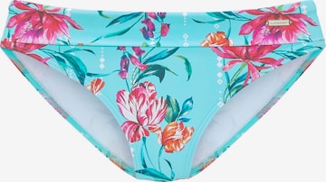 SUNSEEKER Bikinitrusse i blå: forside