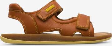 Sandalo 'Bicho' di CAMPER in marrone