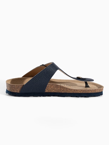 Bayton Žabky 'Mercure' – modrá