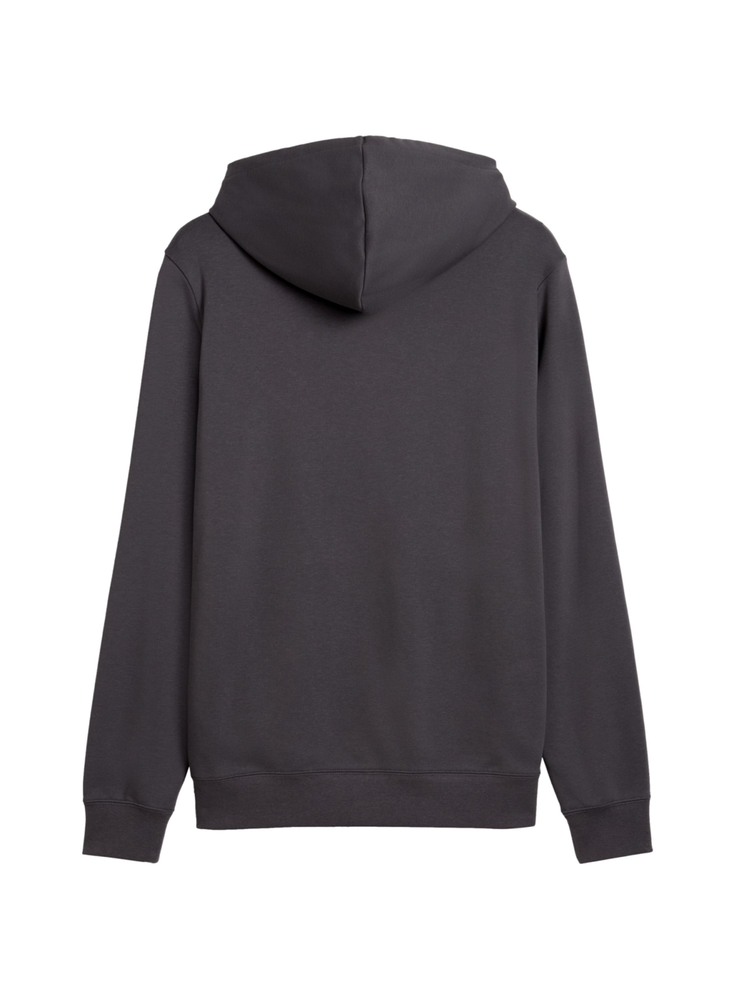 PUMA Sweatshirt in Grey