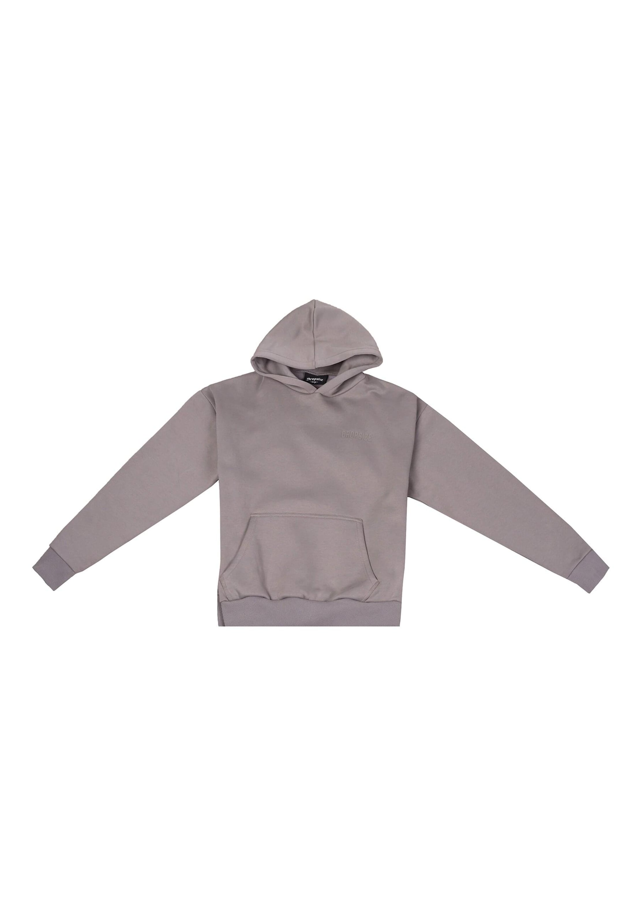 Sweat-shirt Dropsize en gris : devant
