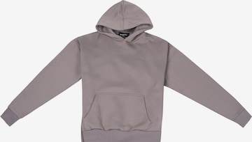 Dropsize Sweatshirt in Grey: front