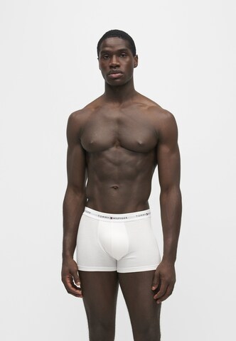 Tommy Hilfiger Underwear Boxer shorts in Blue