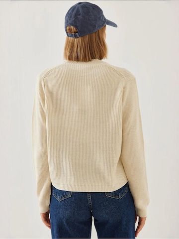 Pull-over 'Pullover' Bianco Lucci en beige