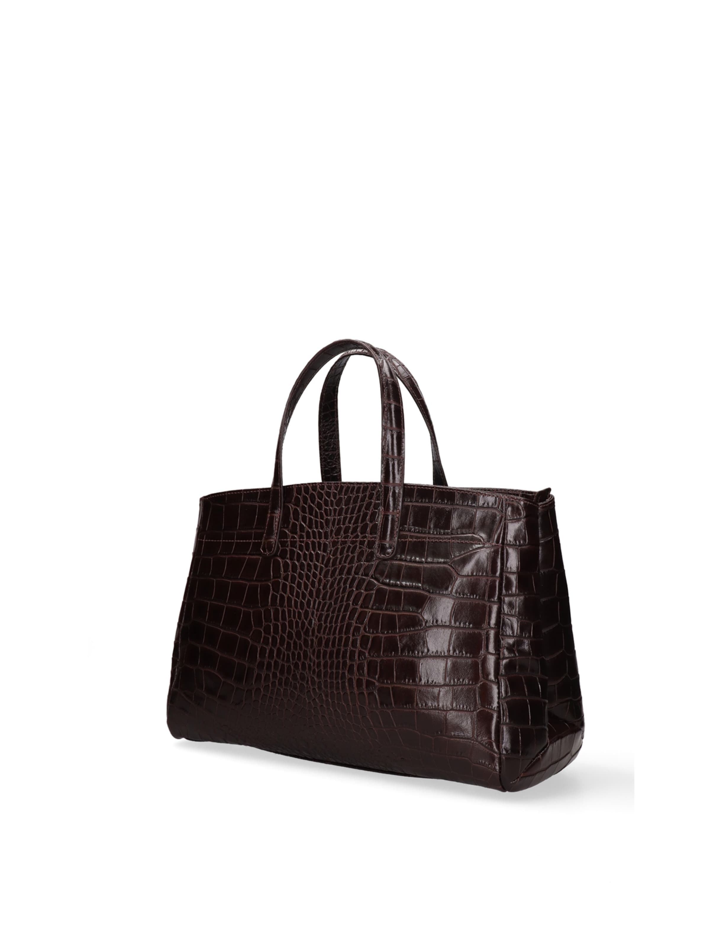 Gave Lux Handbag in Brown