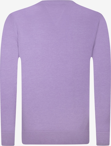 DENIM CULTURE Sweater 'Ottorino' in Purple