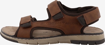Sandales de randonnée TOM TAILOR en marron : devant