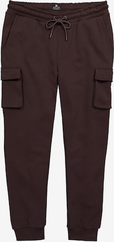 JAY-PI Tapered Hose in Braun: Vorderseite