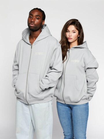 Multiply Apparel Sweatjacke in Grau