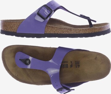 BIRKENSTOCK Sandals & High-Heeled Sandals in 41 in Purple: front