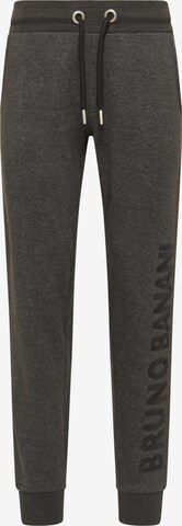 BRUNO BANANI Regular Hose 'ADKINS' in Grau: predná strana