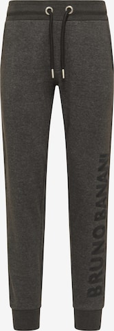 BRUNO BANANI Regular Pants 'ADKINS' in Grey: front