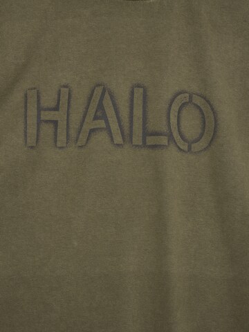 HALO Shirt in Brown