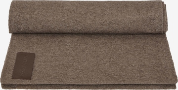 Polo Club Scarf in Brown: front