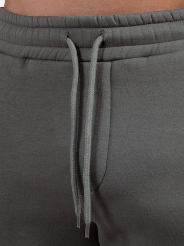 Smilodox Tapered Pants 'Thilo' in Grey