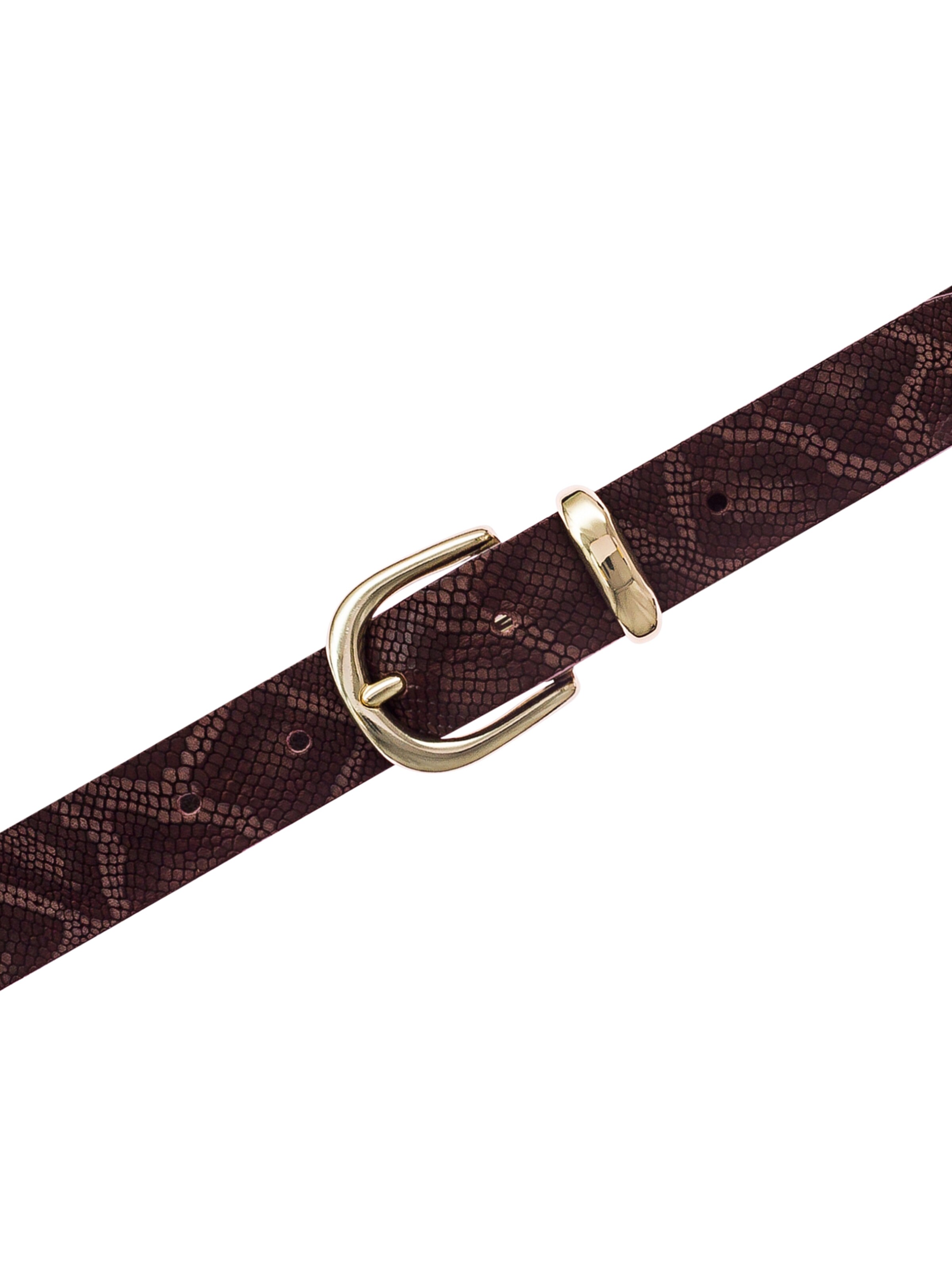 VANZETTI - Cinturón en marrón