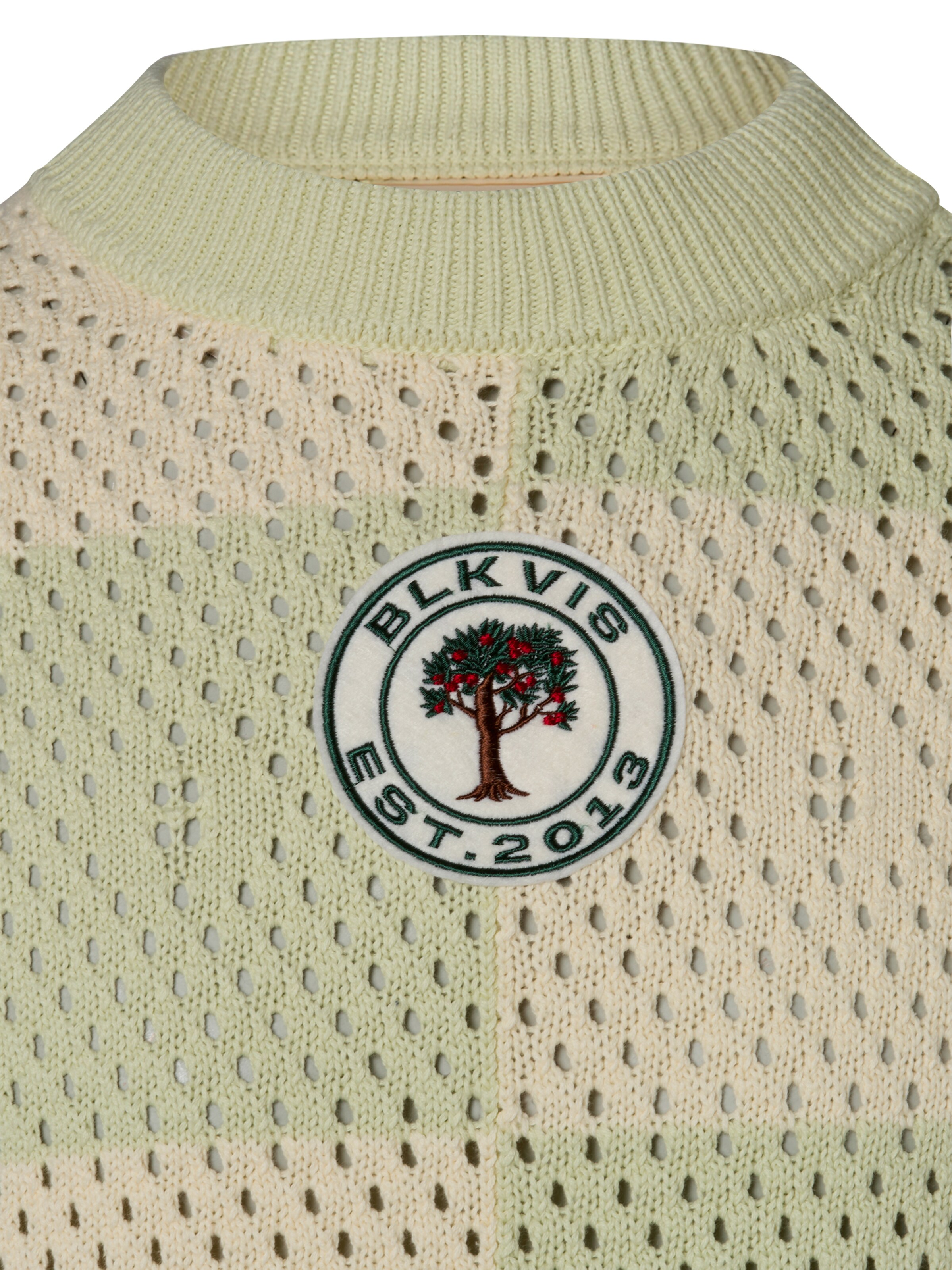 BLKVIS Trui in Groen