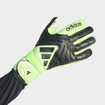 ADIDAS PERFORMANCE Athletic Gloves in Black