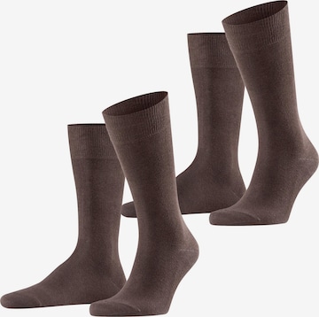 FALKE Socken 'Swing 2-Pack' in Braun: Vorderseite