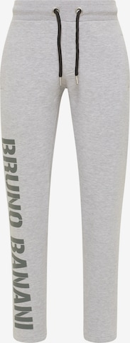 BRUNO BANANI Pants 'ACEVEDO' in Grey: front