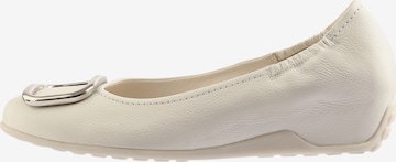 Högl Ballet Flats 'NIKI' in Beige: front
