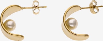 faina Korvakoru värissä kulta: etupuoli