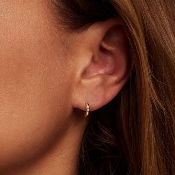 Isabel Bernard Earrings in Gold: front