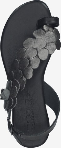 Sandalo di IGI&CO in nero