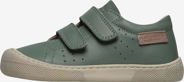NATURINO Sneaker in Grün: Vorderseite