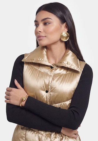 faina - Colete em ouro