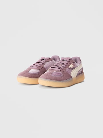 PUMA Sneakers 'Palermo Moda Dream' in Purple