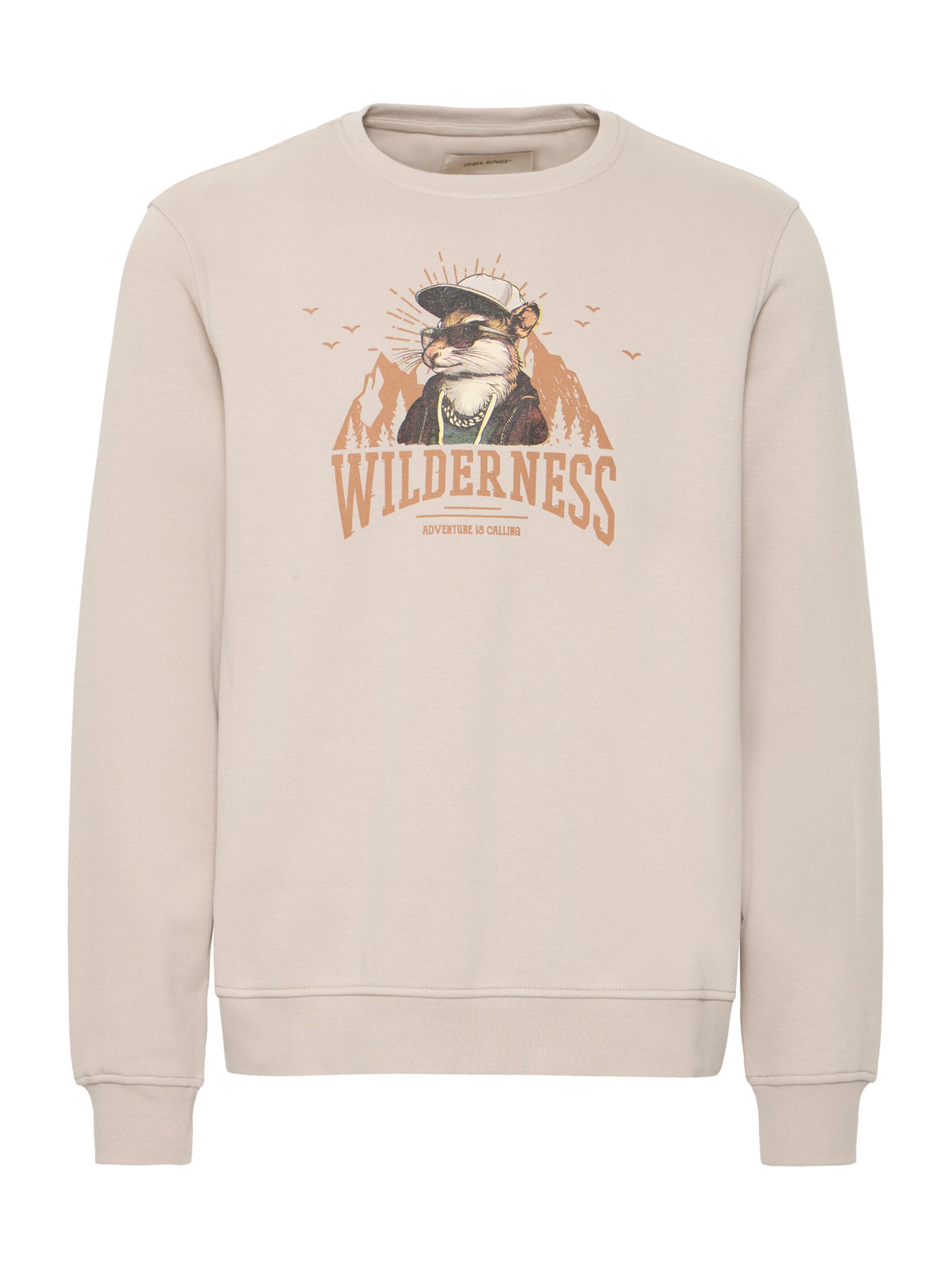 BLEND Sweatshirt 'BHIAN' in Grijs: voorkant