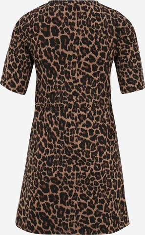 Dorothy Perkins Petite Dress in Brown