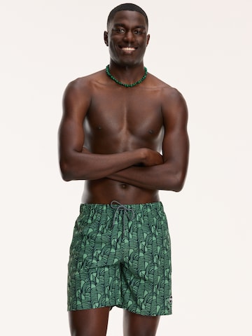 Shorts de bain Shiwi en vert : devant