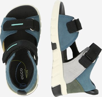 ECCO Sandals & Slippers in Blue