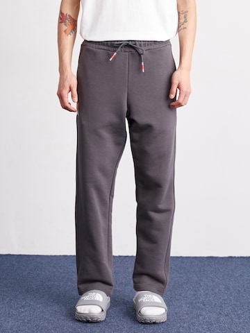 Loosefit Pantalon 'Studio Edition' ALPHA INDUSTRIES en gris : devant