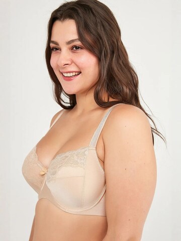 Penti Klasický Podprsenka 'BHs & Bralettes' – béžová