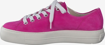 Sneaker bassa di Paul Green in rosa