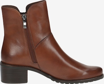 CAPRICE Ankle Boots 'Caprice' in Brown