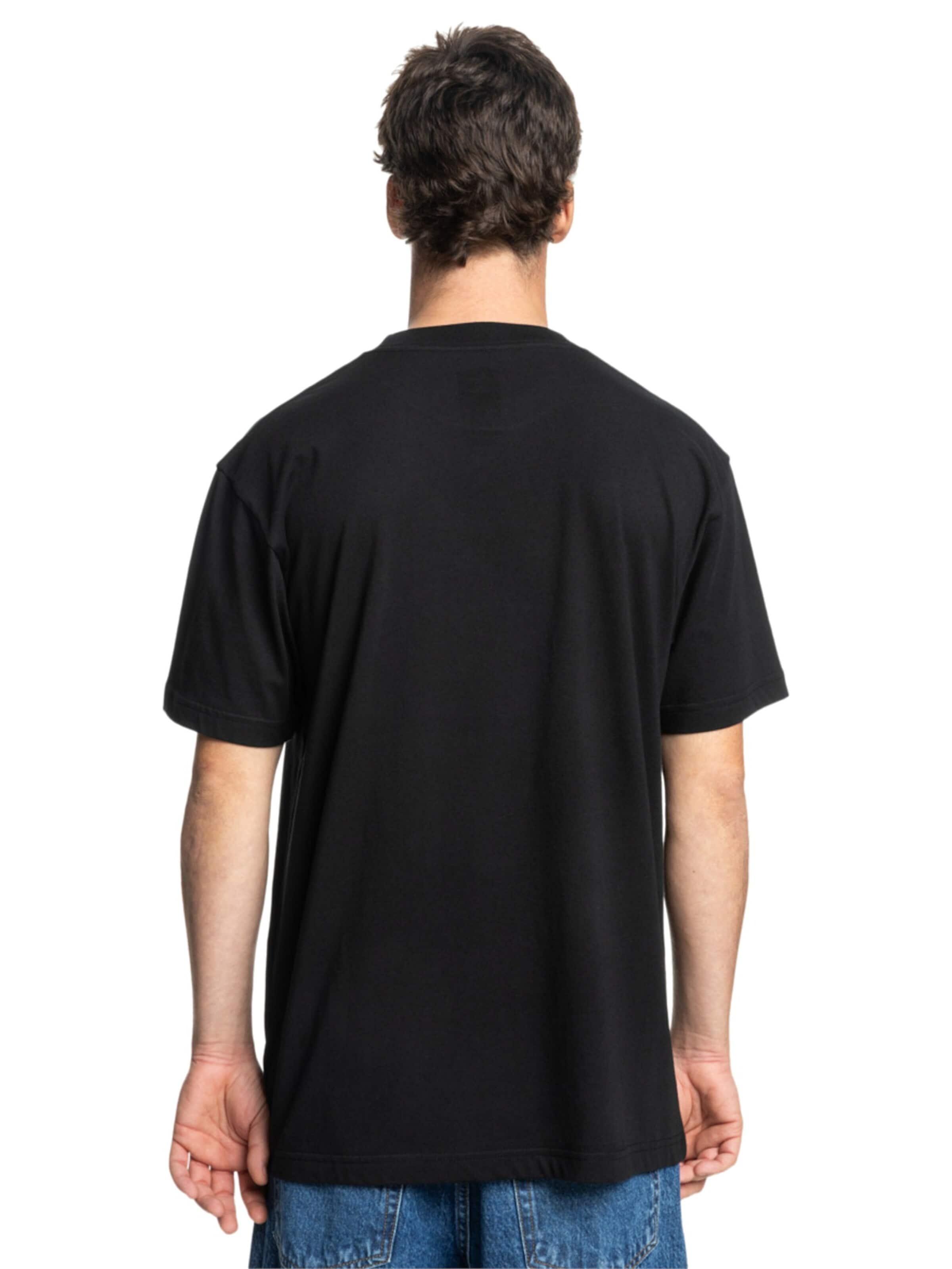 DC Shoes Shirt 'DC Star Skully SS Tee' in Zwart