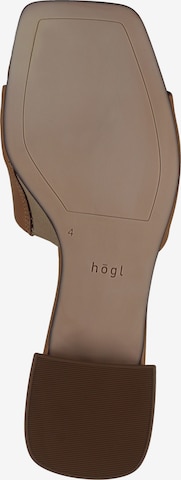 Högl Mules 'Florence' in Brown