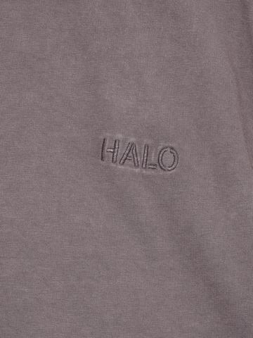 HALO Shirt in Grey