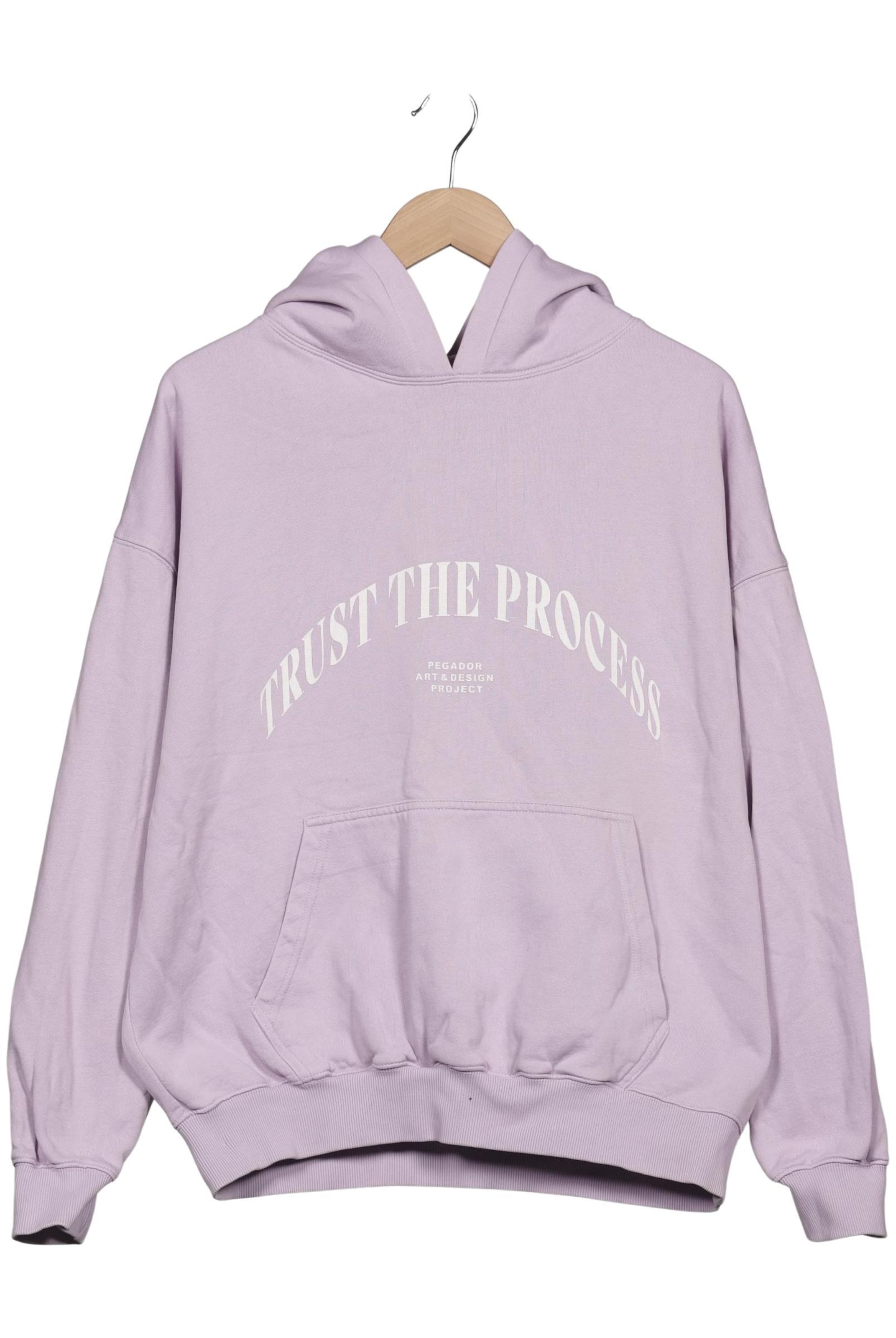 Pegador Sweatshirt & Zip-Up Hoodie in M in Purple: front