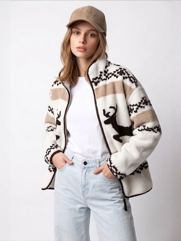MixRaySweater majica 'Sweatshirts' - miks boja boja
