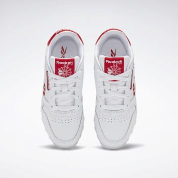 Reebok Sneakers in White