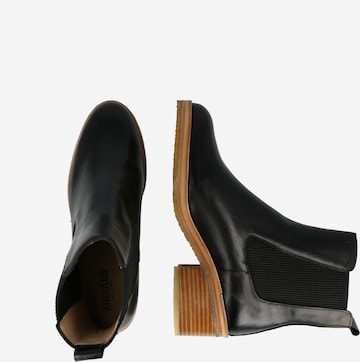 ANGULUS Chelsea boots in Black