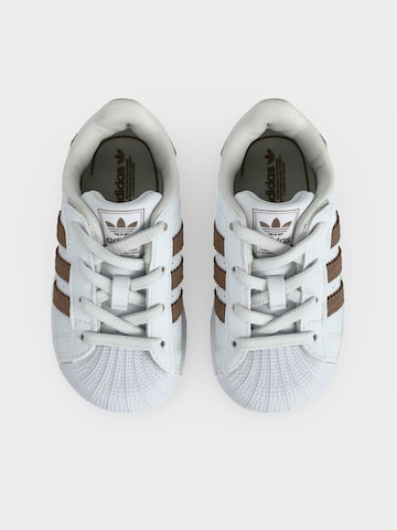 ADIDAS ORIGINALS Tenisky 'SUPERSTAR II CF' - Biela